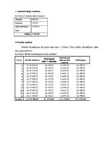 Biznesa plāns 'Biznesa plāns ziedu tirdzniecības biznesā', 37.