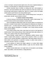 Referāts 'Brenda veidošana un globālie brendi', 6.