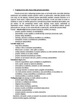 Konspekts 'Patstāvīgais darbs projektu vadībā', 1.