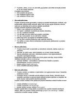 Konspekts 'Patstāvīgais darbs projektu vadībā', 3.