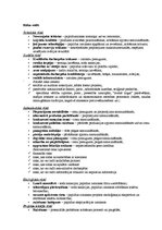 Konspekts 'Patstāvīgais darbs projektu vadībā', 6.