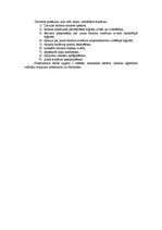 Konspekts 'Patstāvīgais darbs projektu vadībā', 13.