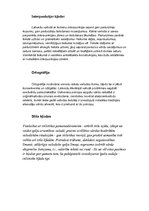 Konspekts 'Kļūdu labojums avīzē "Dzirkstele"', 3.