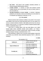 Diplomdarbs 'Personāla atlases procesa pilnveidošana X pilsētas pašvaldības policijā', 29.