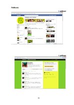 Diplomdarbs 'Dažādu reklāmas veidu pielietojums aktīvās atpūtas centru reklamēšanā', 86.