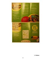 Diplomdarbs 'Dažādu reklāmas veidu pielietojums aktīvās atpūtas centru reklamēšanā', 93.