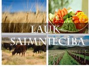 Referāts 'Austrālijas ekonomiski - sociālais raksturojums', 40.