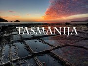 Referāts 'Austrālijas ekonomiski - sociālais raksturojums', 44.