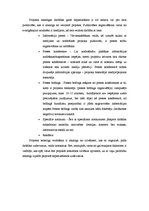 Referāts 'Projektu vadība. Projektu sekmīga norise', 7.