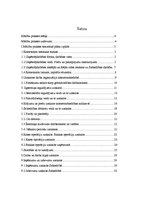 Prakses atskaite 'Prakses atskaite', 2.