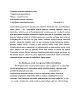 Prakses atskaite 'Prakses atskaite', 9.