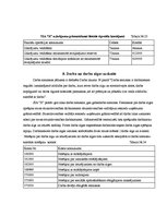 Prakses atskaite 'Prakses atskaite', 28.