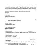 Prakses atskaite 'Prakses atskaite', 35.