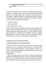 Referāts 'Uzņēmuma tēla veidošanas iespējas', 5.