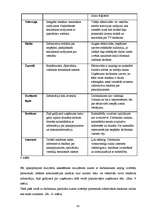 Referāts 'Uzņēmuma tēla veidošanas iespējas', 19.