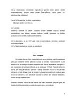 Konspekts 'Gaisa transporta sektora analīze', 4.