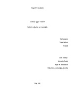 Referāts 'Ieskats Apple vēsturē', 1.