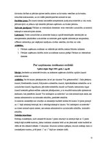 Referāts 'Zvejniecība', 12.