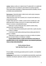 Referāts 'Zvejniecība', 14.