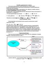 Referāts 'Этиловый спирт', 4.