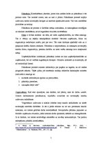 Referāts 'Koordinēšana organizācijā', 5.