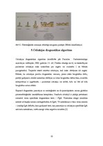 Referāts 'Celiakija', 10.