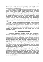 Diplomdarbs 'Transporta uzņēmumu darbības efektivitātes nodrošināšana', 13.