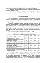 Diplomdarbs 'Transporta uzņēmumu darbības efektivitātes nodrošināšana', 21.