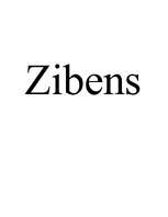 Referāts 'Zibens', 1.