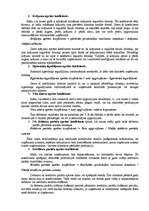 Referāts 'Uzņēmuma finanšu analīze', 5.