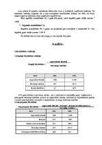 Referāts 'Uzņēmuma finanšu analīze', 7.