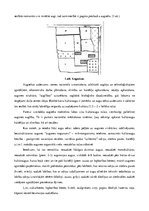 Konspekts 'Par kaļķošanu un augseku. Sēklas materiāls un sēklas izsējas normu aprēķināšana', 8.