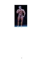 Referāts 'Kultūrisms kā ķermeņa attīstīšana', 10.