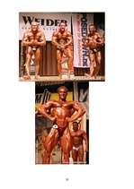 Referāts 'Kultūrisms kā ķermeņa attīstīšana', 33.