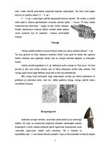 Referāts 'Dzelzs laikmets Latvijā. Senlatviešu ieroči', 7.