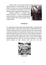 Referāts 'Dzelzs laikmets Latvijā. Senlatviešu ieroči', 9.