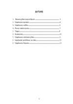 Biznesa plāns 'Uzņēmums "Rūķītis"', 2.