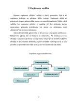 Biznesa plāns 'Uzņēmums "Rūķītis"', 6.