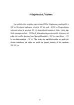 Biznesa plāns 'Uzņēmums "Rūķītis"', 13.