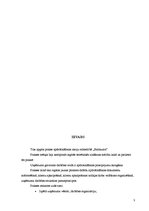 Prakses atskaite 'Kvalifikācijas prakses atskaite AAS "Baltikums"', 3.