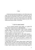 Prakses atskaite 'Kvalifikācijas prakses atskaite AAS "Baltikums"', 15.