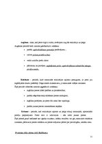 Prakses atskaite 'Kvalifikācijas prakses atskaite AAS "Baltikums"', 21.