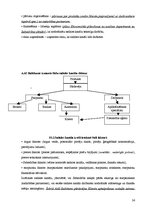Prakses atskaite 'Kvalifikācijas prakses atskaite AAS "Baltikums"', 24.
