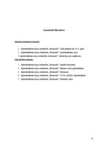 Prakses atskaite 'Kvalifikācijas prakses atskaite AAS "Baltikums"', 41.