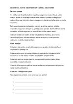 Paraugs 'Bioloģija – dzīvie organismi un cilvēka organisms', 1.