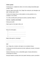 Paraugs 'Bioloģija – dzīvie organismi un cilvēka organisms', 19.