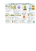 Paraugs 'Bioloģija – dzīvie organismi un cilvēka organisms', 54.