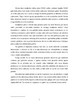 Referāts 'Plānošana, organizācija, kontrole', 7.