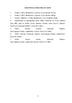 Referāts 'Plānošana, organizācija, kontrole', 11.