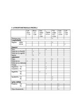 Konspekts 'Antropometrija', 5.